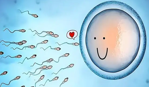 代怀选性别包生男孩